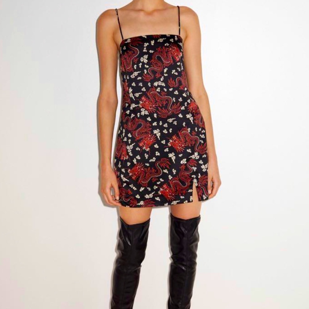 Zara Dragon Print Mini Dress
